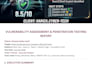 do website security audit and penetration testing